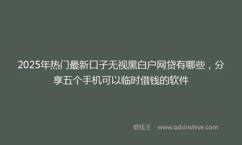 2025年热门最新口子无视黑白户网贷有哪些，分享五个手机可以临时借钱的软件
