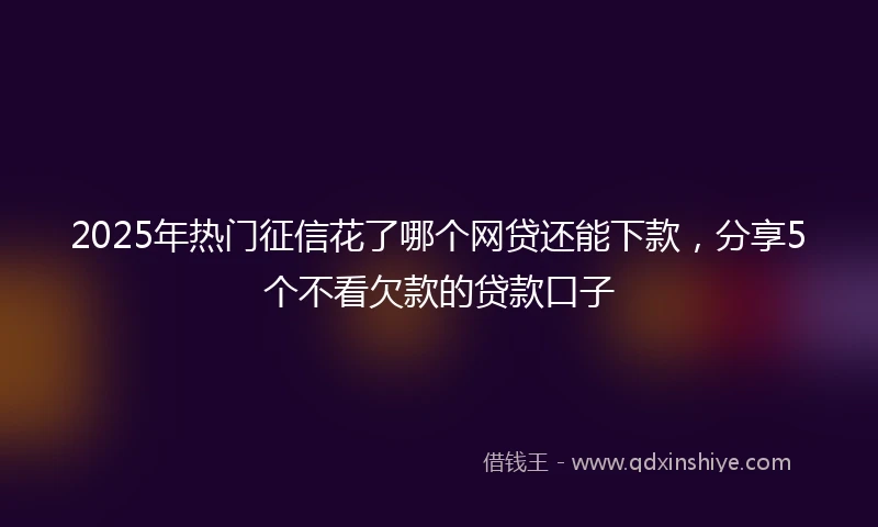 2025年热门征信花了哪个网贷还能下款，分享5个不看欠款的贷款口子