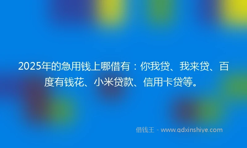 2025年的急用钱上哪借有：你我贷、我来贷、百度有钱花、小米贷款、信用卡贷等。