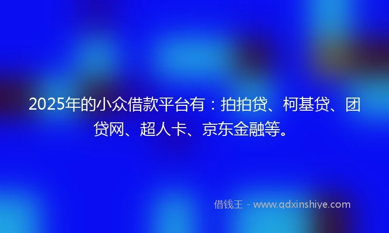 2025年的小众借款平台有：拍拍贷、柯基贷、团贷网、超人卡、京东金融等。