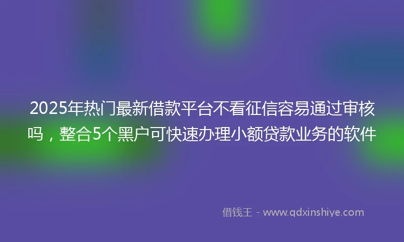2025年热门最新借款平台不看征信容易通过审核吗，整合5个黑户可快速办理小额贷款业务的软件