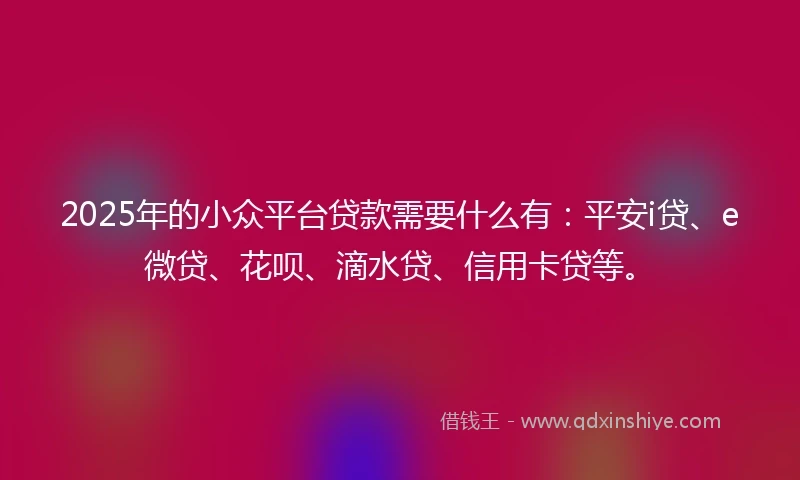 2025年的小众平台贷款需要什么有：平安i贷、e微贷、花呗、滴水贷、信用卡贷等。