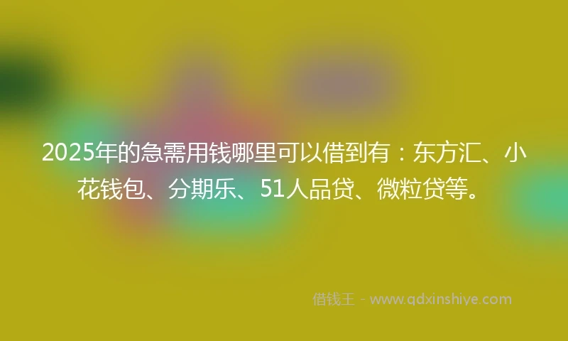 2025年的急需用钱哪里可以借到有：东方汇、小花钱包、分期乐、51人品贷、微粒贷等。