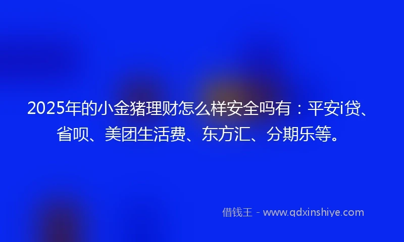 2025年的小金猪理财怎么样安全吗有：平安i贷、省呗、美团生活费、东方汇、分期乐等。
