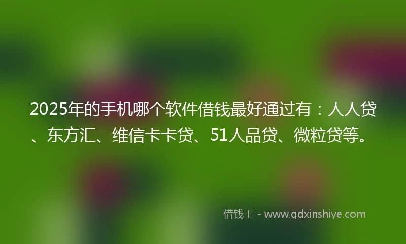 2025年的手机哪个软件借钱最好通过有：人人贷、东方汇、维信卡卡贷、51人品贷、微粒贷等。