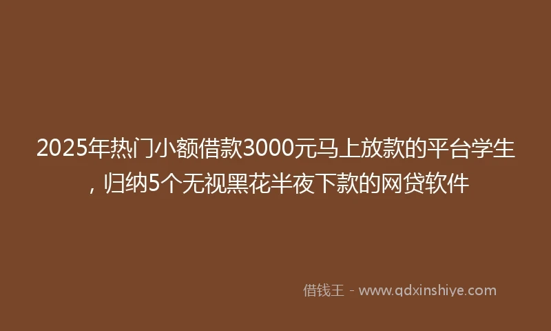 2025年热门小额借款3000元马上放款的平台学生，归纳5个无视黑花半夜下款的网贷软件