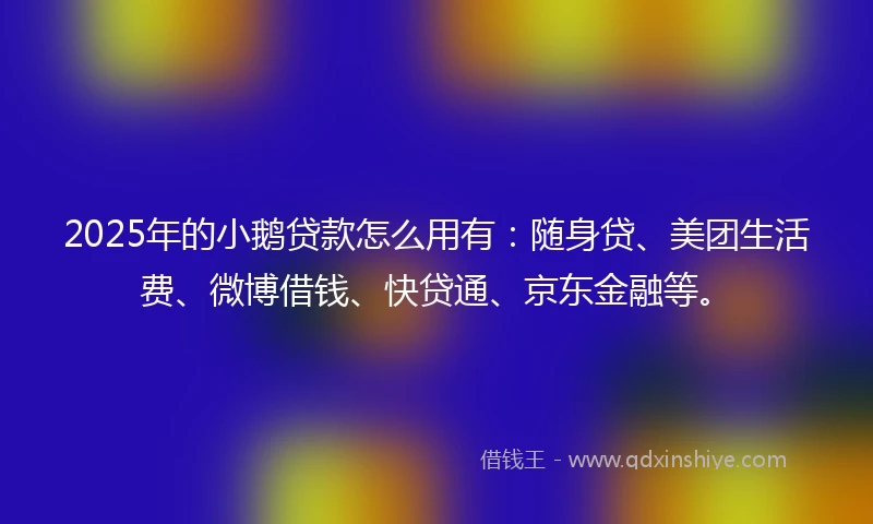 2025年的小鹅贷款怎么用有：随身贷、美团生活费、微博借钱、快贷通、京东金融等。
