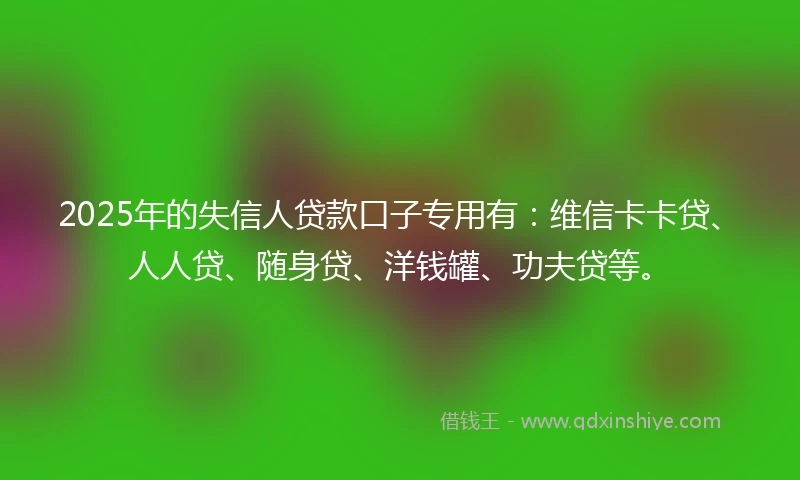 2025年的失信人贷款口子专用有：维信卡卡贷、人人贷、随身贷、洋钱罐、功夫贷等。