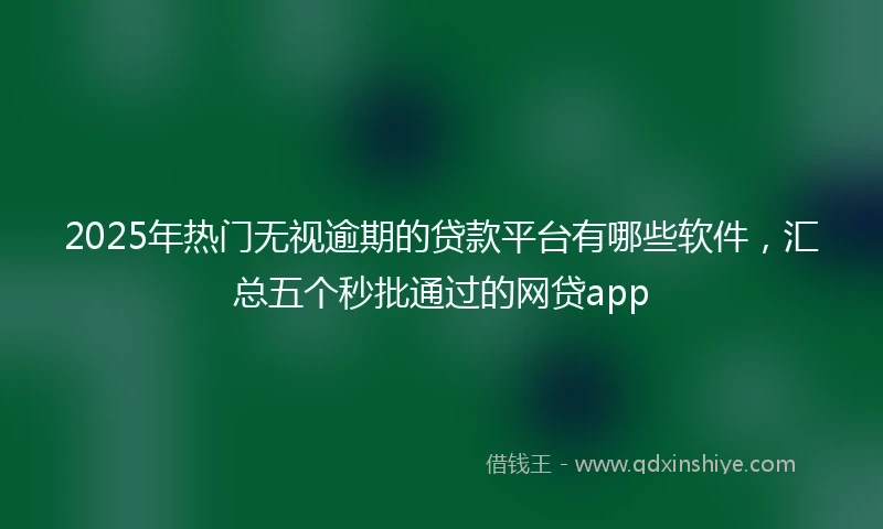 2025年热门无视逾期的贷款平台有哪些软件，汇总五个秒批通过的网贷app