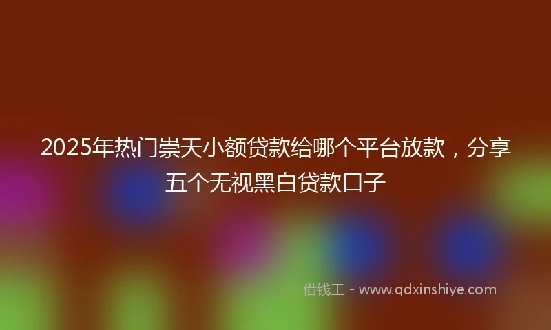2025年热门崇天小额贷款给哪个平台放款，分享五个无视黑白贷款口子