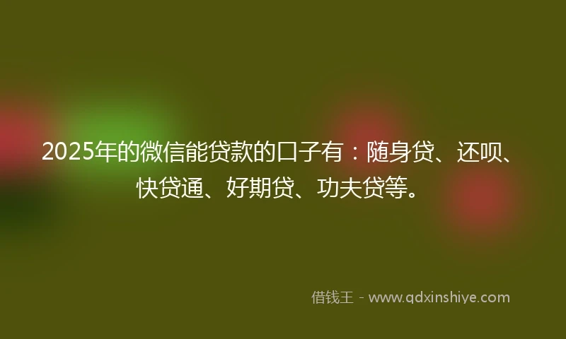 2025年的微信能贷款的口子有：随身贷、还呗、快贷通、好期贷、功夫贷等。