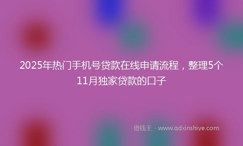 2025年热门手机号贷款在线申请流程，整理5个11月独家贷款的口子