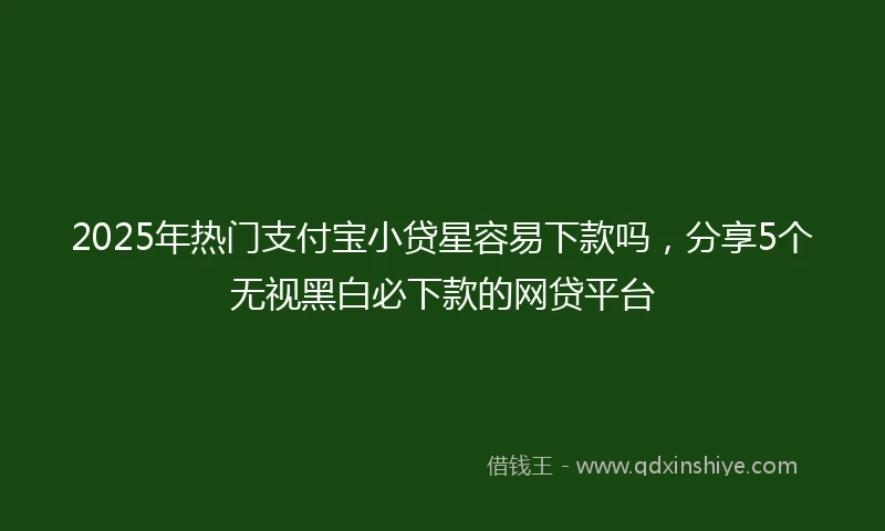 2025年热门支付宝小贷星容易下款吗，分享5个无视黑白必下款的网贷平台