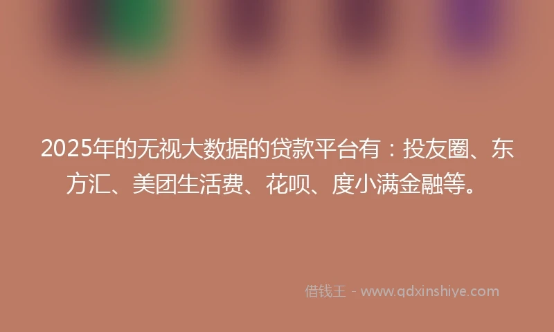 2025年的无视大数据的贷款平台有：投友圈、东方汇、美团生活费、花呗、度小满金融等。