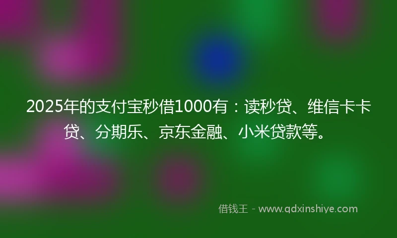2025年的支付宝秒借1000有：读秒贷、维信卡卡贷、分期乐、京东金融、小米贷款等。