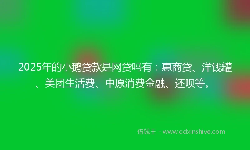 2025年的小鹅贷款是网贷吗有：惠商贷、洋钱罐、美团生活费、中原消费金融、还呗等。