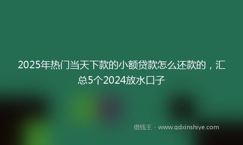 2025年热门当天下款的小额贷款怎么还款的，汇总5个2024放水口子