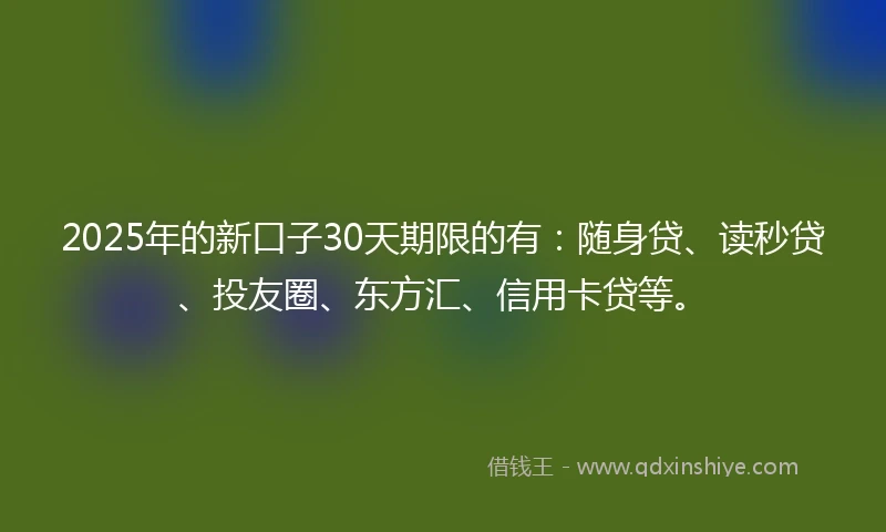 2025年的新口子30天期限的有：随身贷、读秒贷、投友圈、东方汇、信用卡贷等。