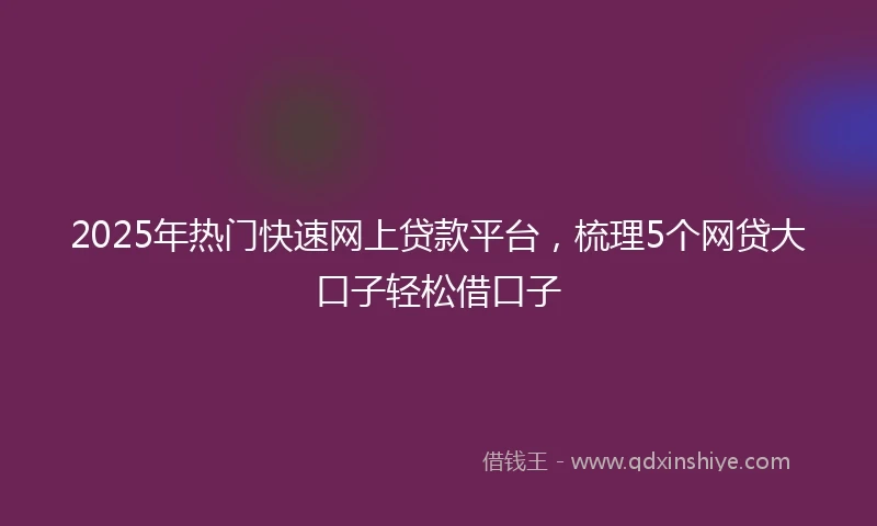 2025年热门快速网上贷款平台，梳理5个网贷大口子轻松借口子