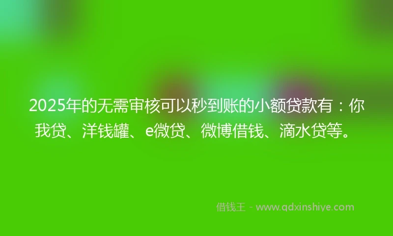2025年的无需审核可以秒到账的小额贷款有：你我贷、洋钱罐、e微贷、微博借钱、滴水贷等。