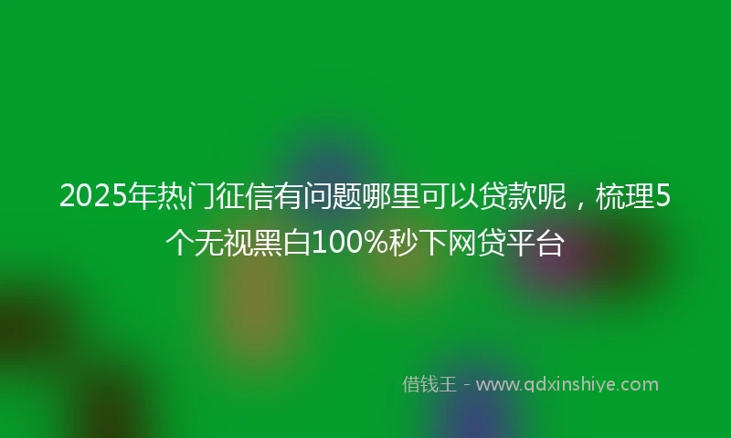 2025年热门征信有问题哪里可以贷款呢，梳理5个无视黑白100%秒下网贷平台