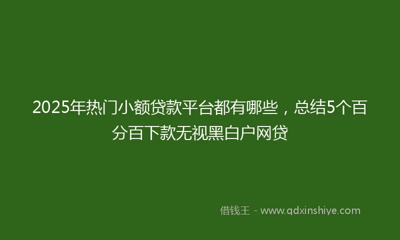 2025年热门小额贷款平台都有哪些，总结5个百分百下款无视黑白户网贷
