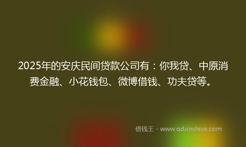 2025年的安庆民间贷款公司有：你我贷、中原消费金融、小花钱包、微博借钱、功夫贷等。