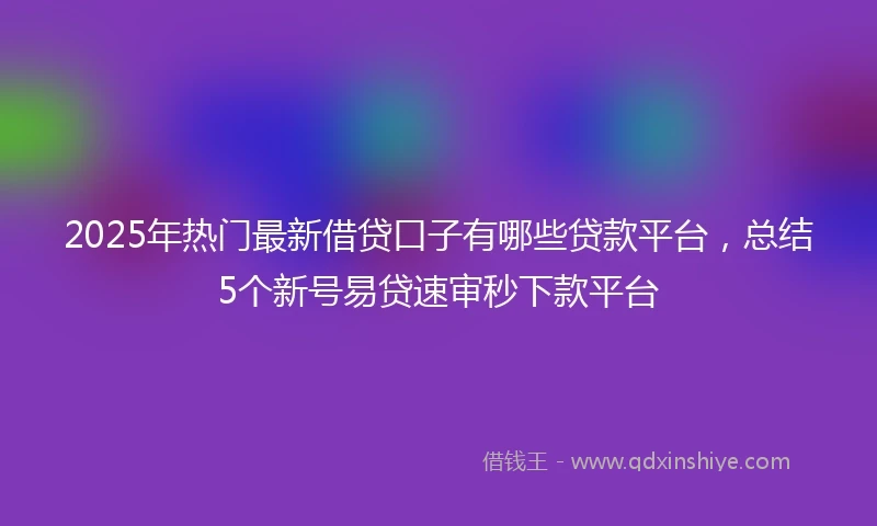 2025年热门最新借贷口子有哪些贷款平台，总结5个新号易贷速审秒下款平台