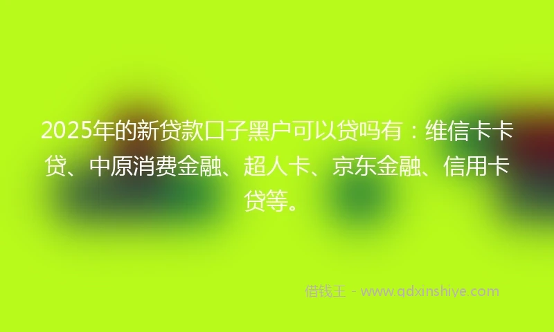 2025年的新贷款口子黑户可以贷吗有：维信卡卡贷、中原消费金融、超人卡、京东金融、信用卡贷等。