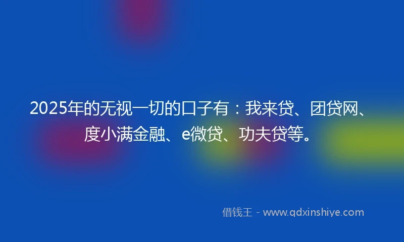 2025年的无视一切的口子有：我来贷、团贷网、度小满金融、e微贷、功夫贷等。