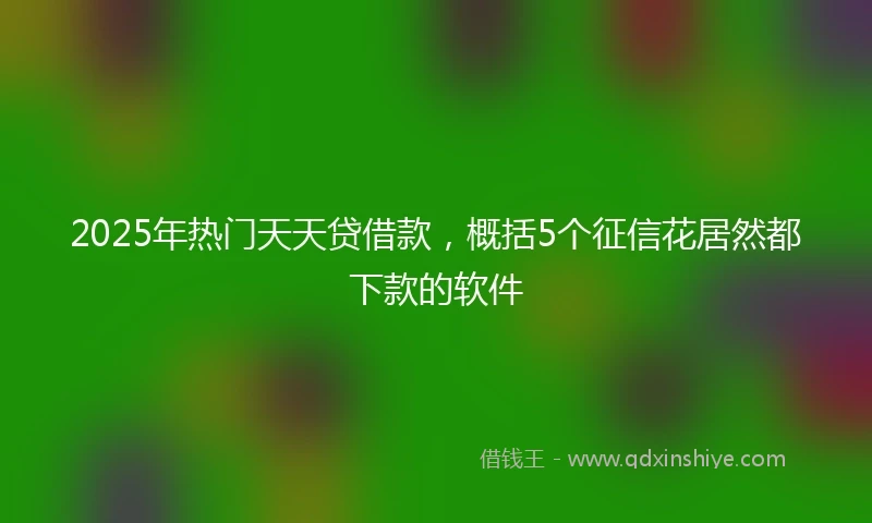 2025年热门天天贷借款，概括5个征信花居然都下款的软件