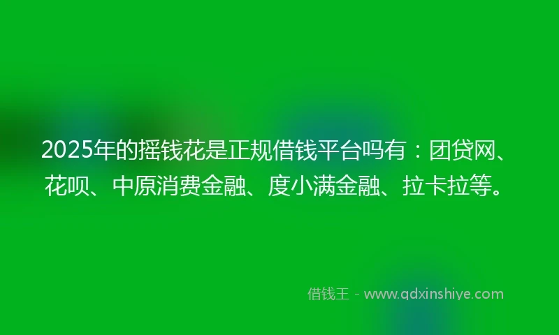 2025年的摇钱花是正规借钱平台吗有：团贷网、花呗、中原消费金融、度小满金融、拉卡拉等。