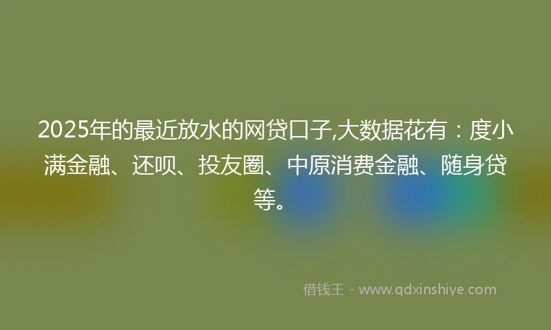2025年的最近放水的网贷口子,大数据花有：度小满金融、还呗、投友圈、中原消费金融、随身贷等。