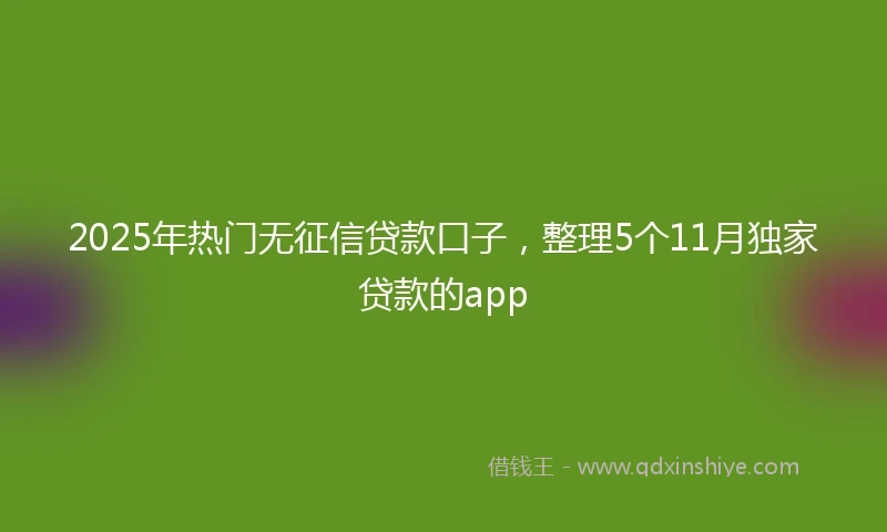 2025年热门无征信贷款口子，整理5个11月独家贷款的app