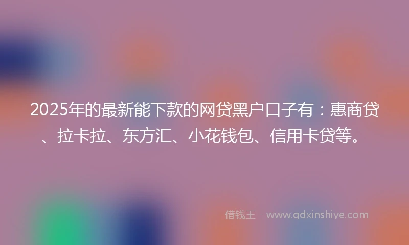 2025年的最新能下款的网贷黑户口子有：惠商贷、拉卡拉、东方汇、小花钱包、信用卡贷等。