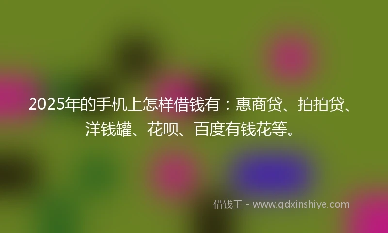 2025年的手机上怎样借钱有：惠商贷、拍拍贷、洋钱罐、花呗、百度有钱花等。