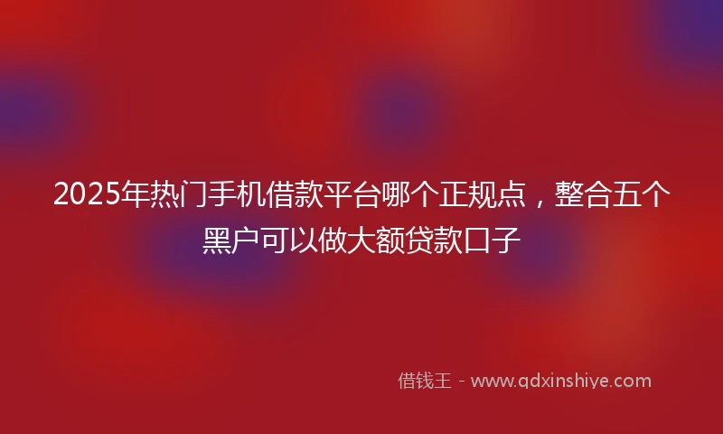 2025年热门手机借款平台哪个正规点，整合五个黑户可以做大额贷款口子