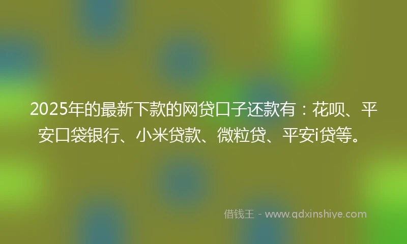 2025年的最新下款的网贷口子还款有：花呗、平安口袋银行、小米贷款、微粒贷、平安i贷等。