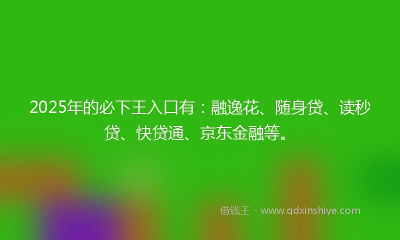 2025年的必下王入口有：融逸花、随身贷、读秒贷、快贷通、京东金融等。