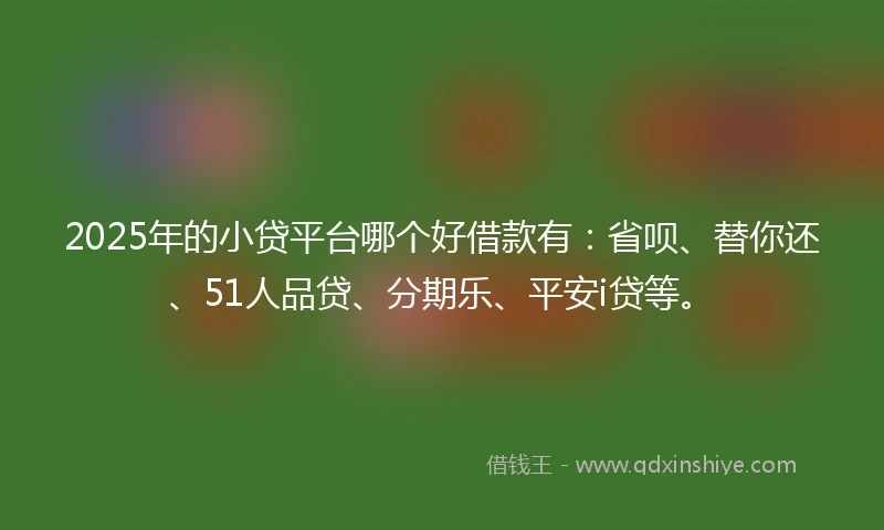 2025年的小贷平台哪个好借款有：省呗、替你还、51人品贷、分期乐、平安i贷等。
