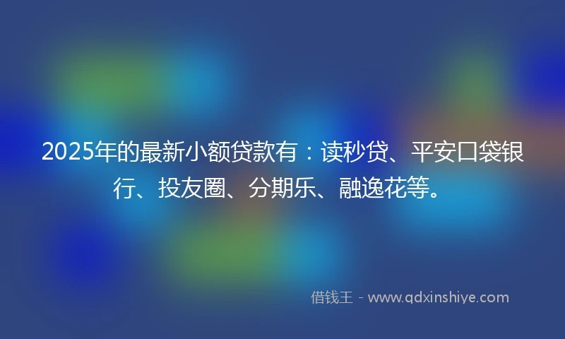 2025年的最新小额贷款有：读秒贷、平安口袋银行、投友圈、分期乐、融逸花等。