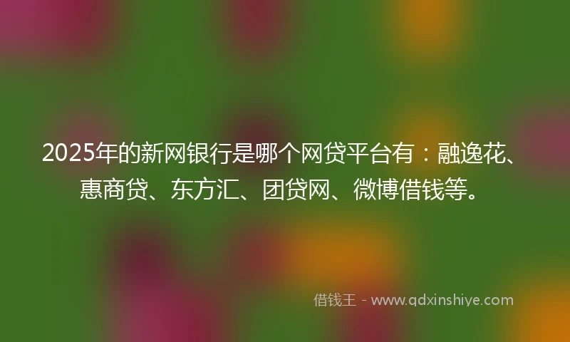 2025年的新网银行是哪个网贷平台有：融逸花、惠商贷、东方汇、团贷网、微博借钱等。