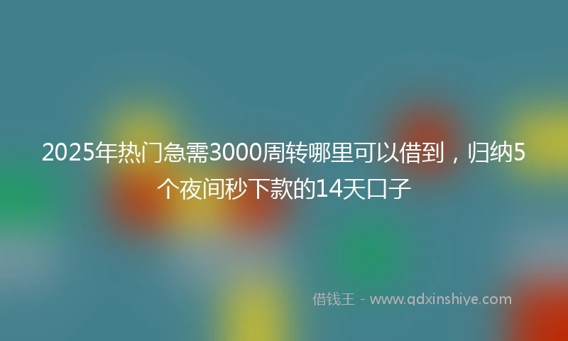 2025年热门急需3000周转哪里可以借到，归纳5个夜间秒下款的14天口子