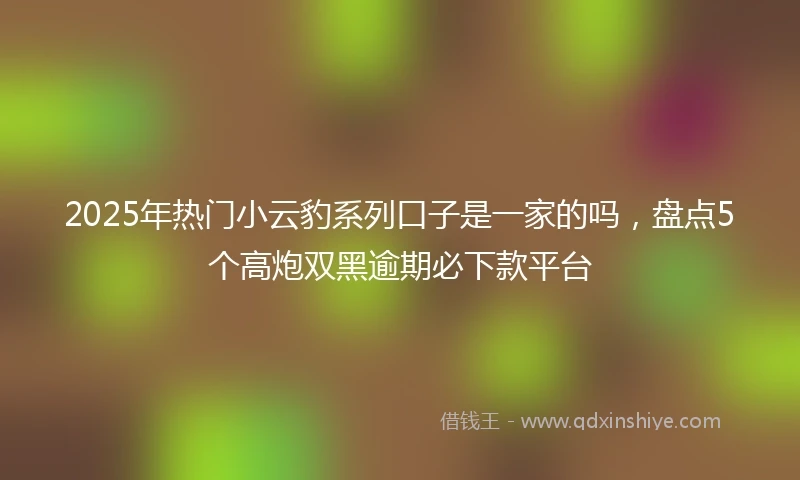 2025年热门小云豹系列口子是一家的吗，盘点5个高炮双黑逾期必下款平台