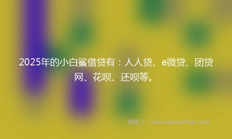 2025年的小白鲨借贷有：人人贷、e微贷、团贷网、花呗、还呗等。