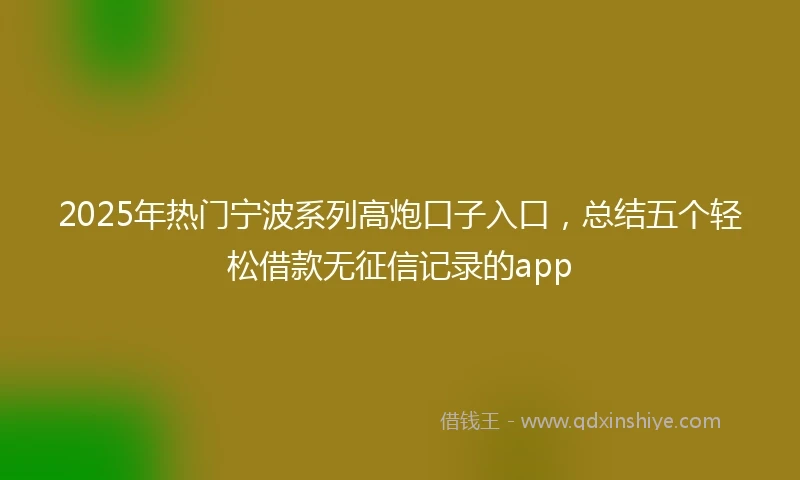 2025年热门宁波系列高炮口子入口，总结五个轻松借款无征信记录的app