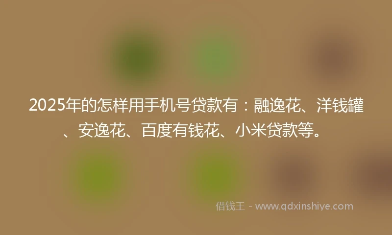 2025年的怎样用手机号贷款有：融逸花、洋钱罐、安逸花、百度有钱花、小米贷款等。