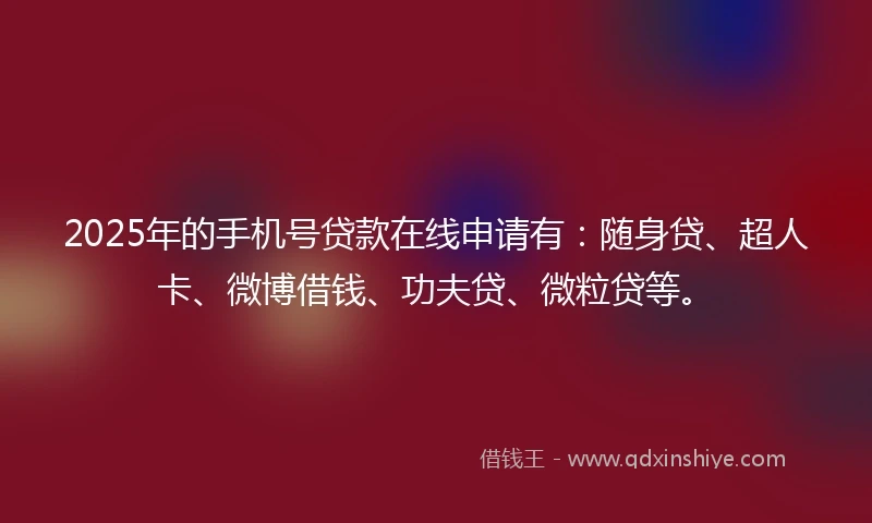 2025年的手机号贷款在线申请有：随身贷、超人卡、微博借钱、功夫贷、微粒贷等。
