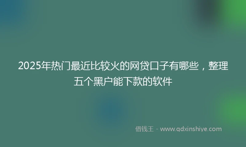 2025年热门最近比较火的网贷口子有哪些，整理五个黑户能下款的软件