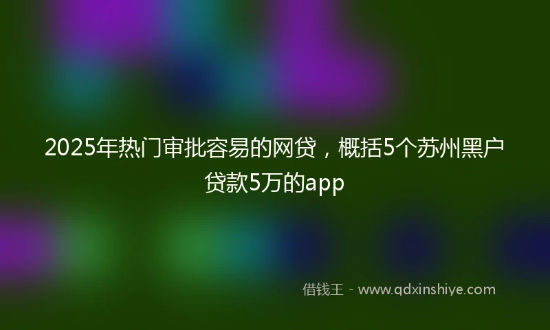 2025年热门审批容易的网贷，概括5个苏州黑户贷款5万的app